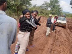Labรฉ/Sarekaly, dans Dalein: des รlรจves forment une traction humaine, pour vivre !