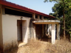 Boké : le Lycée d’Excellence devenu un excellent refuge pour animaux